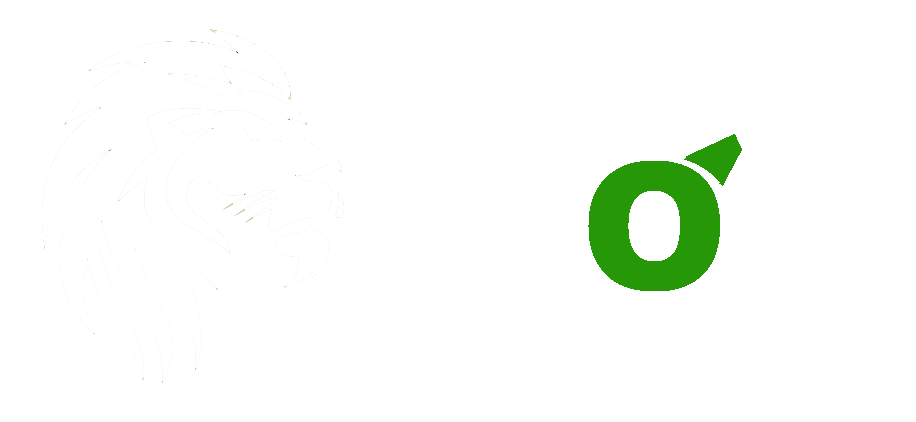 Constructora León & Cía SPA